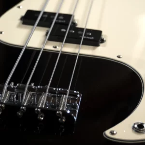 Basse Alnico V PRODIPE