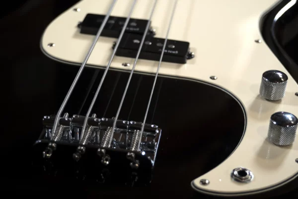 Basse Alnico V PRODIPE