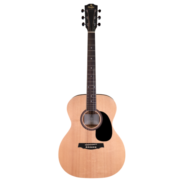 Guitare Prodipe SA25