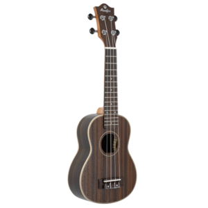 Ukulélé Soprano Prodipe Guitars 21" Bois de Rose