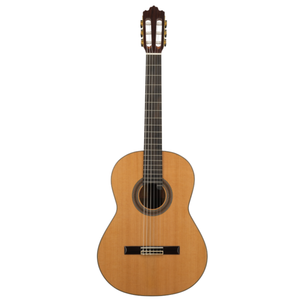 Guitare Classique Prodipe Soloist 900 - 1