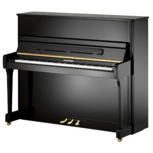 W.Hoffmann Vision V-120 Noir Brillant