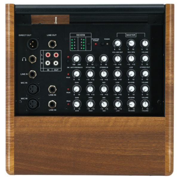 Prodipe Natural 6 V2 Walnut Wood Combo - 3