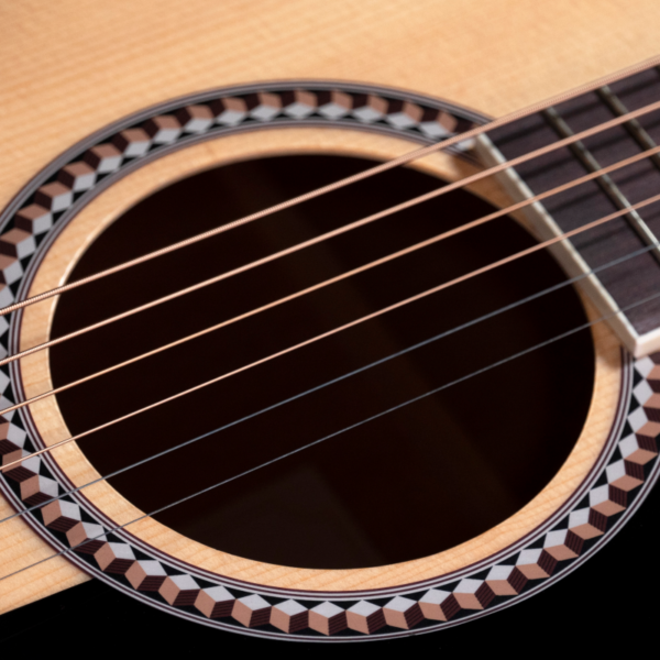 Guitare Prodipe SA25 - 3